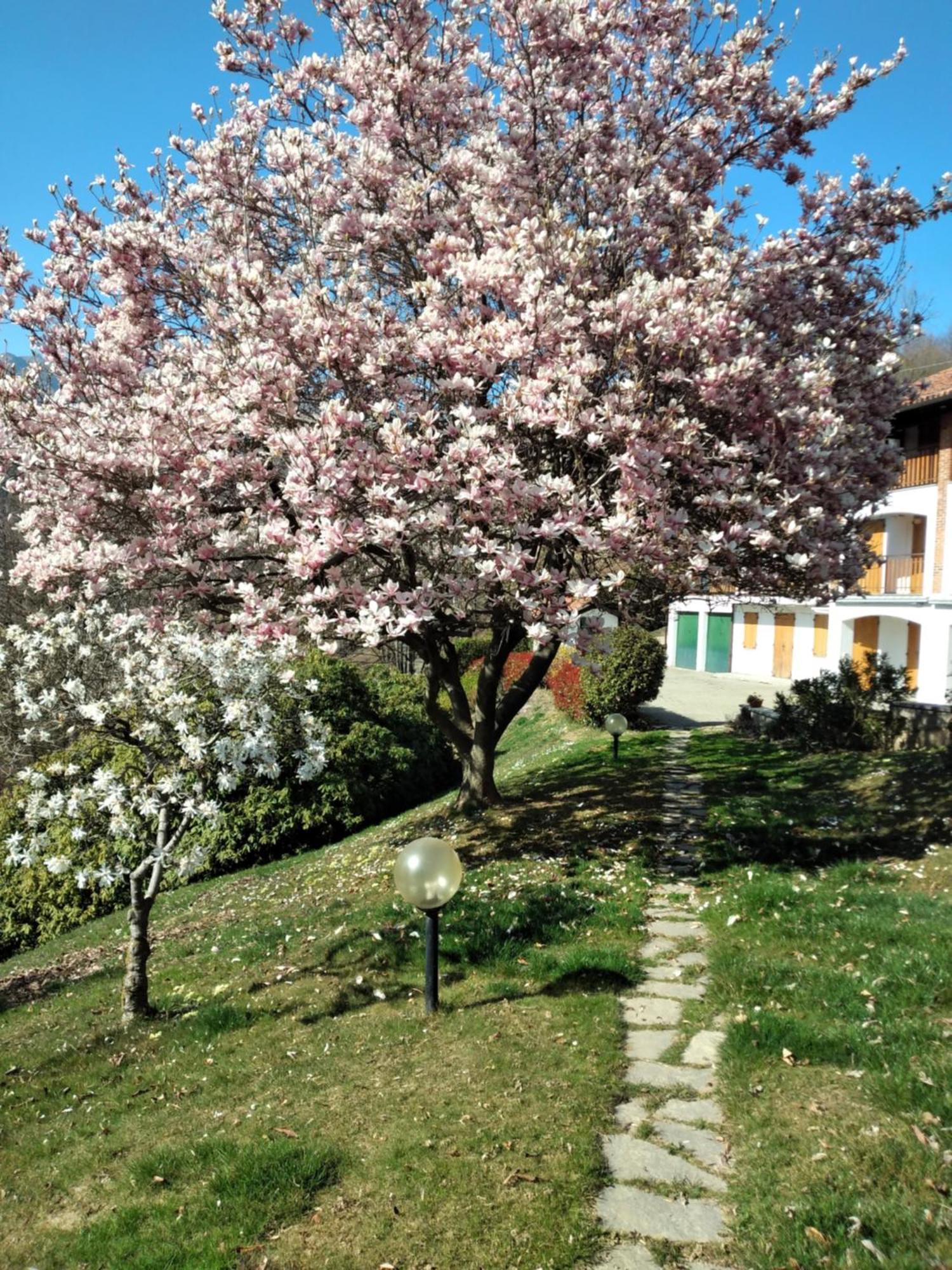Appartamento A Due Passi Da Burcina Favaro 외부 사진